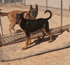 Casey - Photo 12