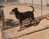 Casey - Photo 20