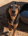 Casey - Photo 15