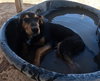 Casey - Photo 18