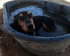 Casey - Photo 14