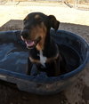 Casey - Photo 17
