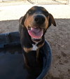 Casey - Photo 16