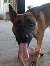 Grover - Photo 1