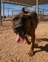 Grover - Photo 5