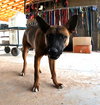 Grover - Photo 8