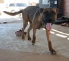 Grover - Photo 9