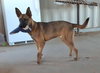 Grover - Photo 10