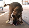 Grover - Photo 11