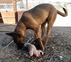 Grover - Photo 14