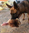 Grover - Photo 16