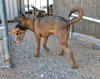Grover - Photo 17