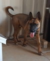 Grover - Photo 19