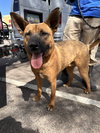 Grover - Photo 20