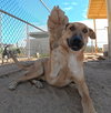 Freddy - Photo 2