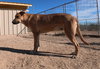 Freddy - Photo 17