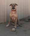 Freddy - Photo 3