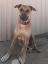 Freddy - Photo 4