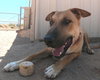 Freddy - Photo 6