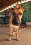 Freddy - Photo 6