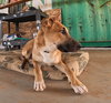 Freddy - Photo 7