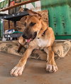 Freddy - Photo 8