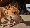Freddy - Photo 20