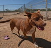 Ruby - Photo 2