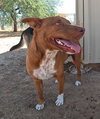 Ruby - Photo 10
