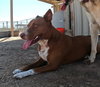 Ruby - Photo 12