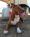 Ruby - Photo 15
