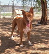 Ruby - Photo 16