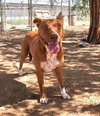 Ruby - Photo 17