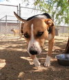 Rhea - Photo 9