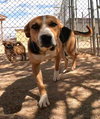 Rhea - Photo 13