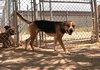 Rhea - Photo 14