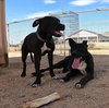 Sadie - Photo 14