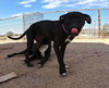 Sadie - Photo 15