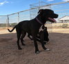 Sadie - Photo 17