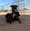 Sadie - Photo 18