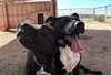 Sadie - Photo 20