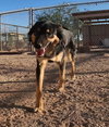 Bella - Photo 14