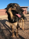 Bella - Photo 16