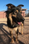 Bella - Photo 18