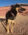 Bella - Photo 19