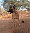 Abram - Photo 1