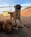 Abram - Photo 3