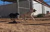 Layla - Photo 4
