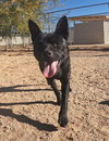 Gus - Photo 13