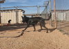 Valkarie - Photo 20